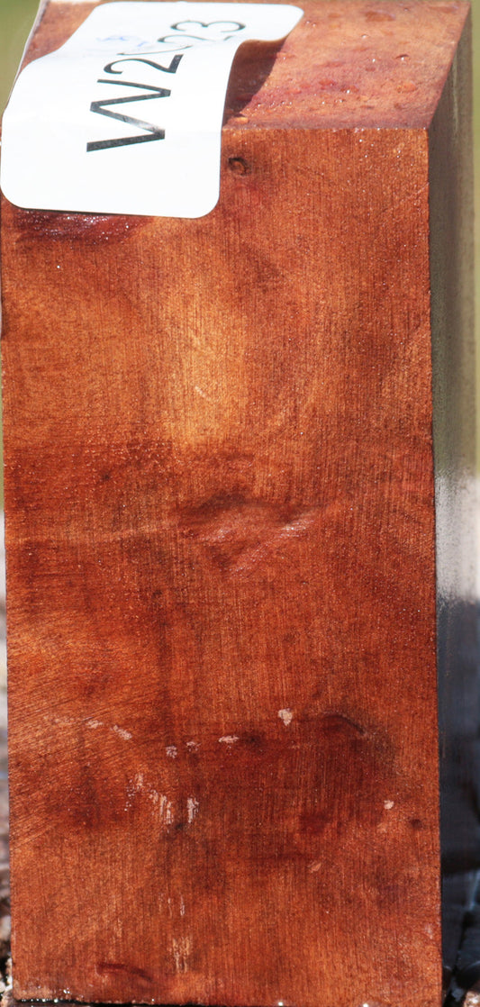 Camphor Burl Turning Blank