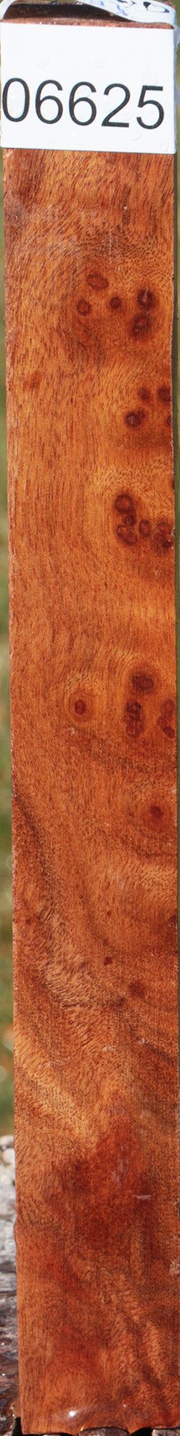 Camphor Burl Turning Square