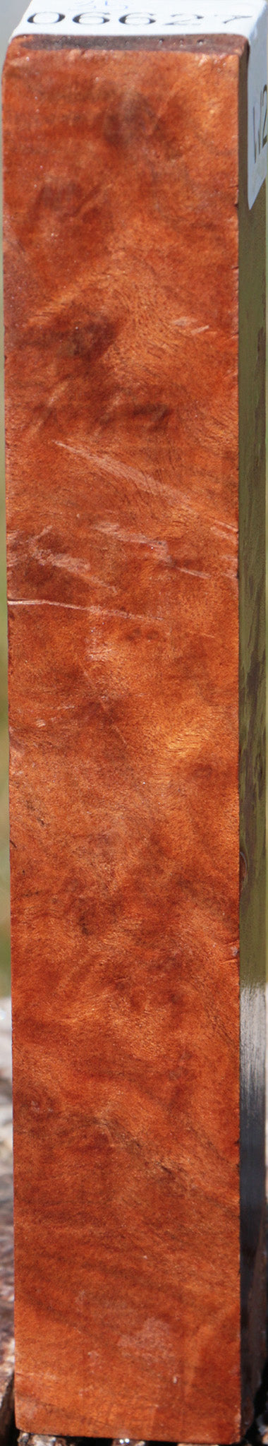 Camphor Burl Turning Square