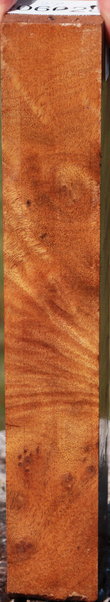 Camphor Burl Turning Square