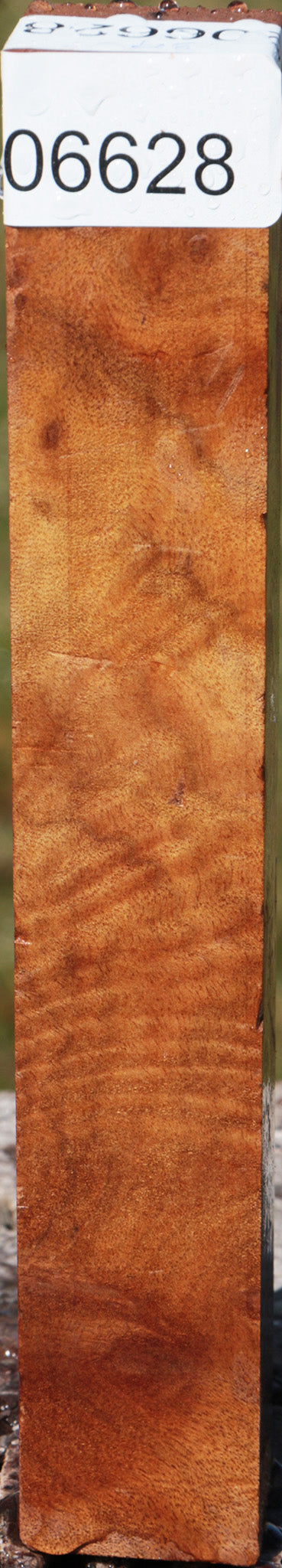 Camphor Burl Turning Square