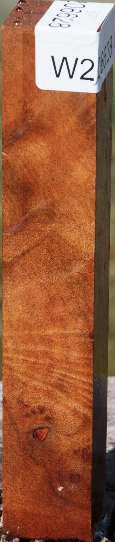 Camphor Burl Turning Square