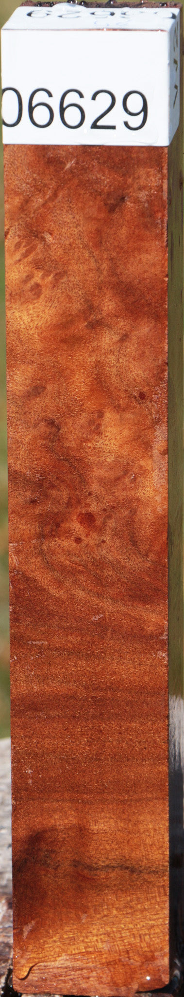 Camphor Burl Turning Square