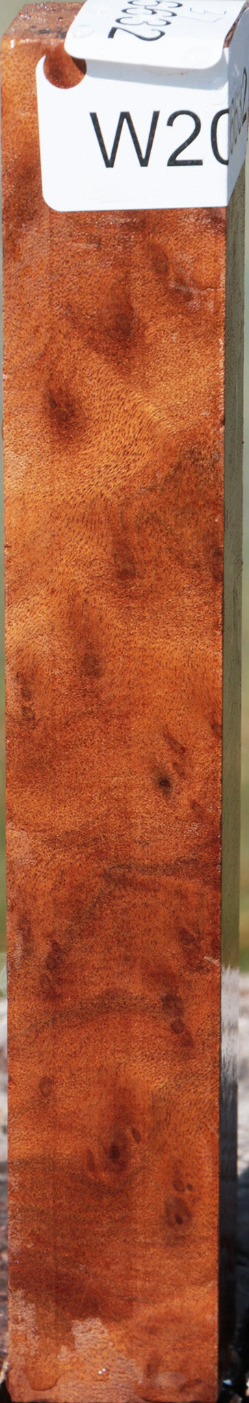 Camphor Burl Turning Square