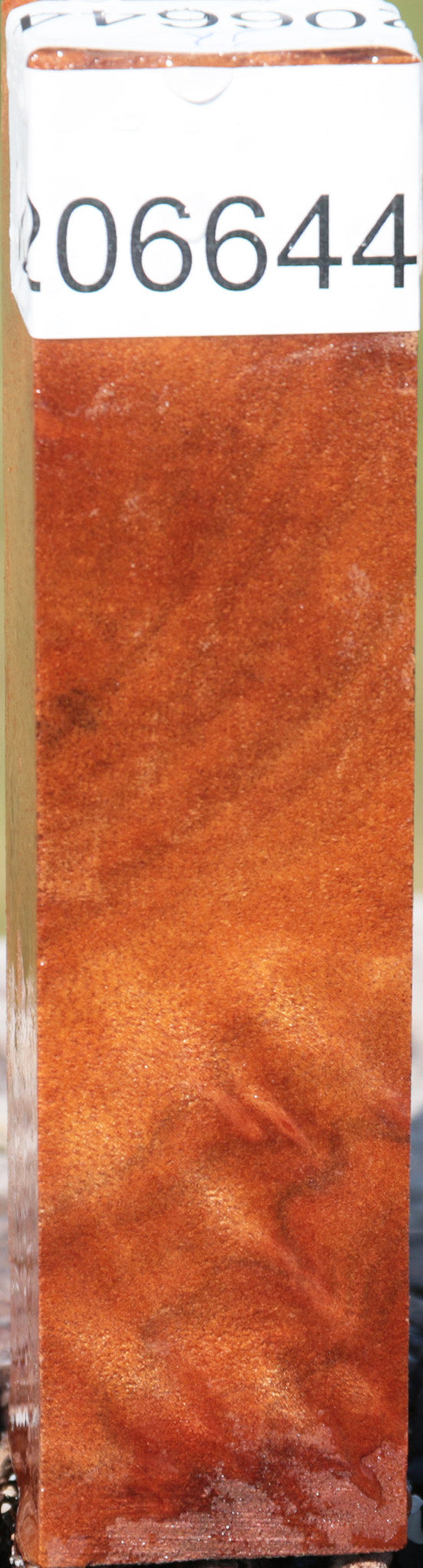 Camphor Burl Turning Square