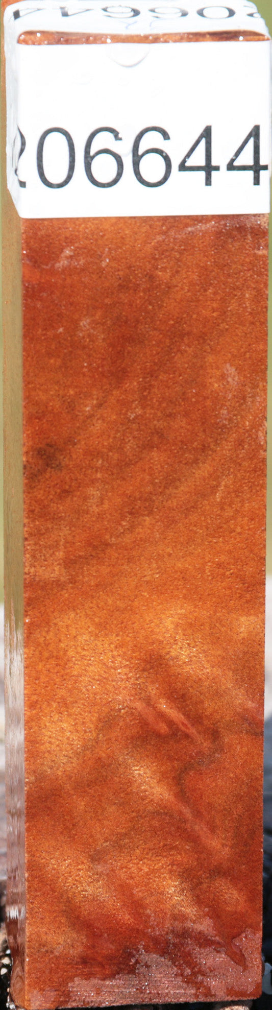 Camphor Burl Turning Square