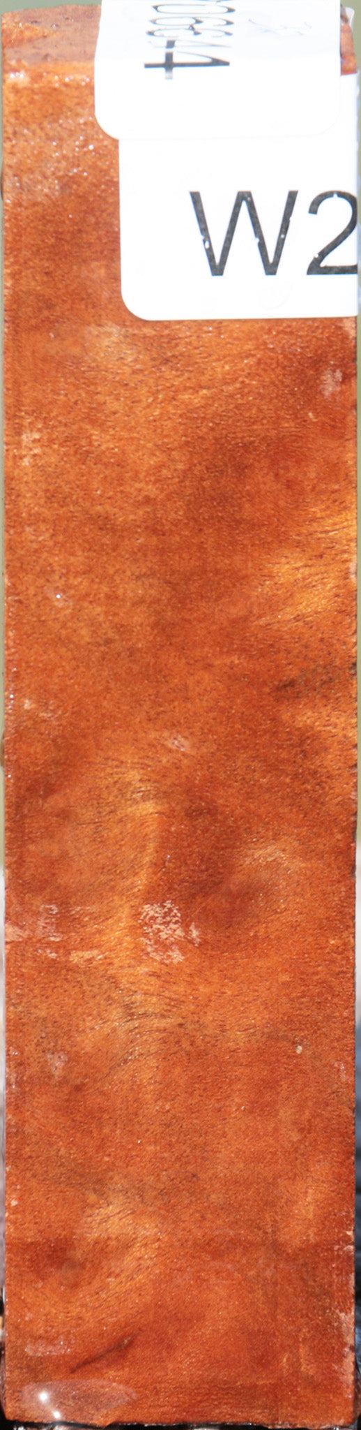 Camphor Burl Turning Square