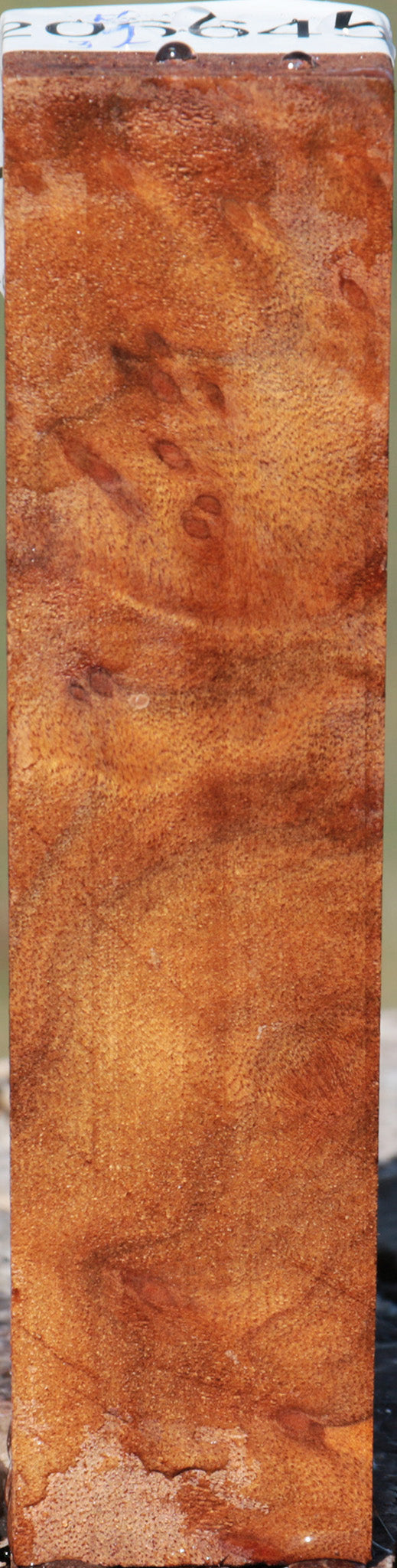 Camphor Burl Turning Square