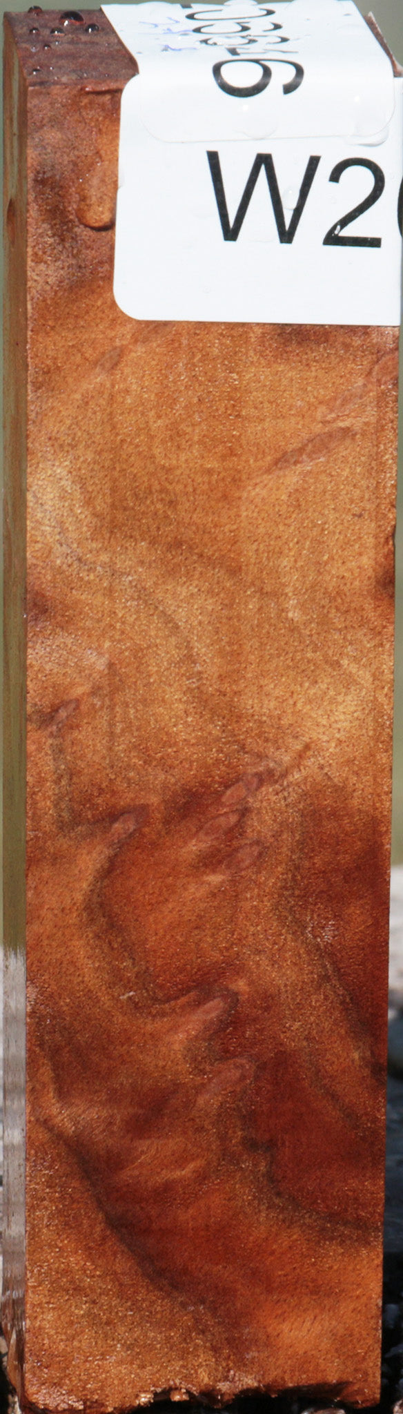 Camphor Burl Turning Square