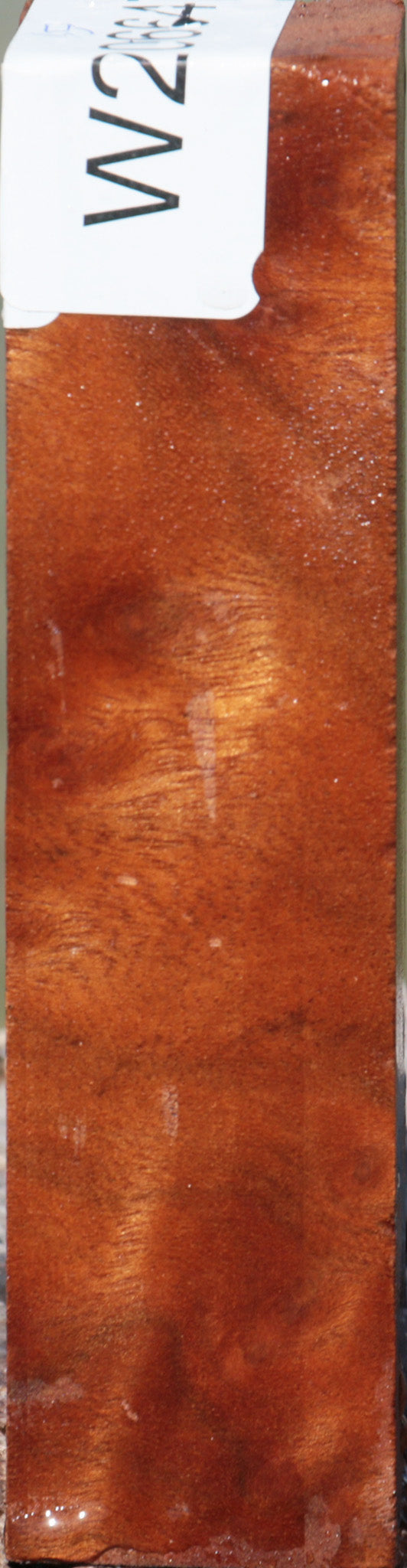 Camphor Burl Turning Square