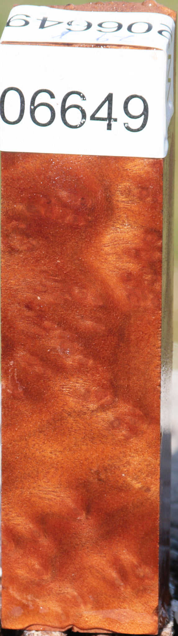 Camphor Burl Turning Square