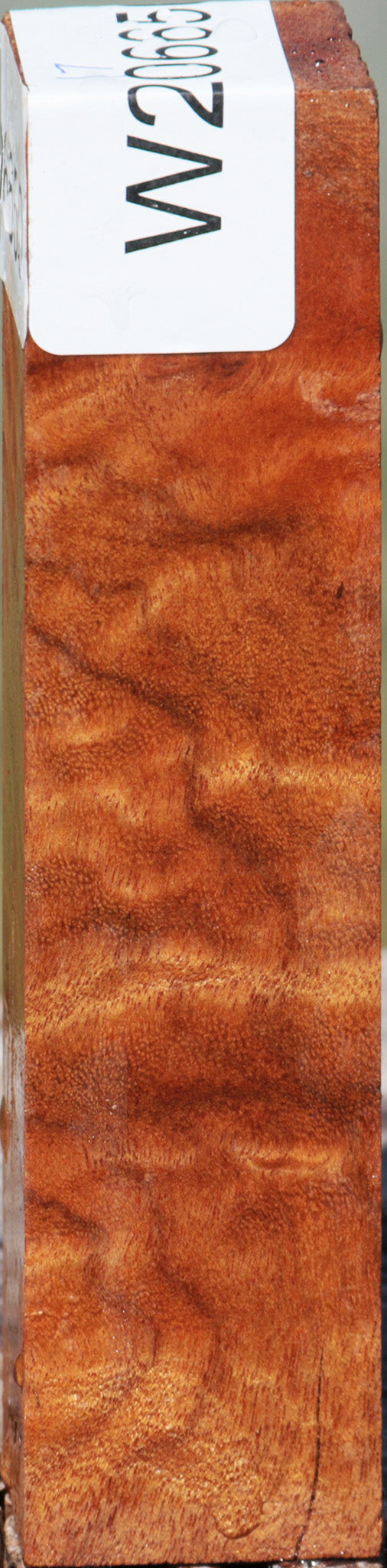 Camphor Burl Turning Square