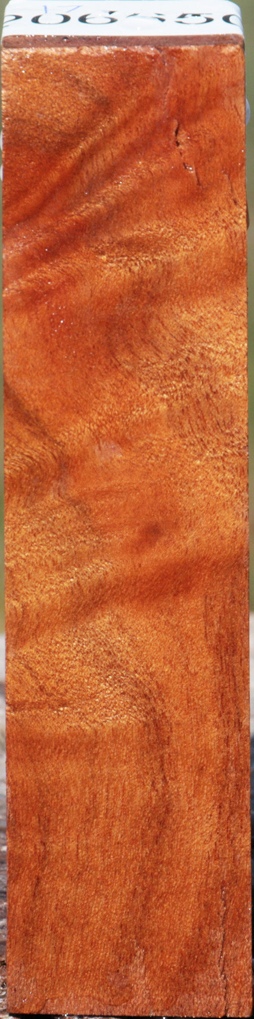 Camphor Burl Turning Square