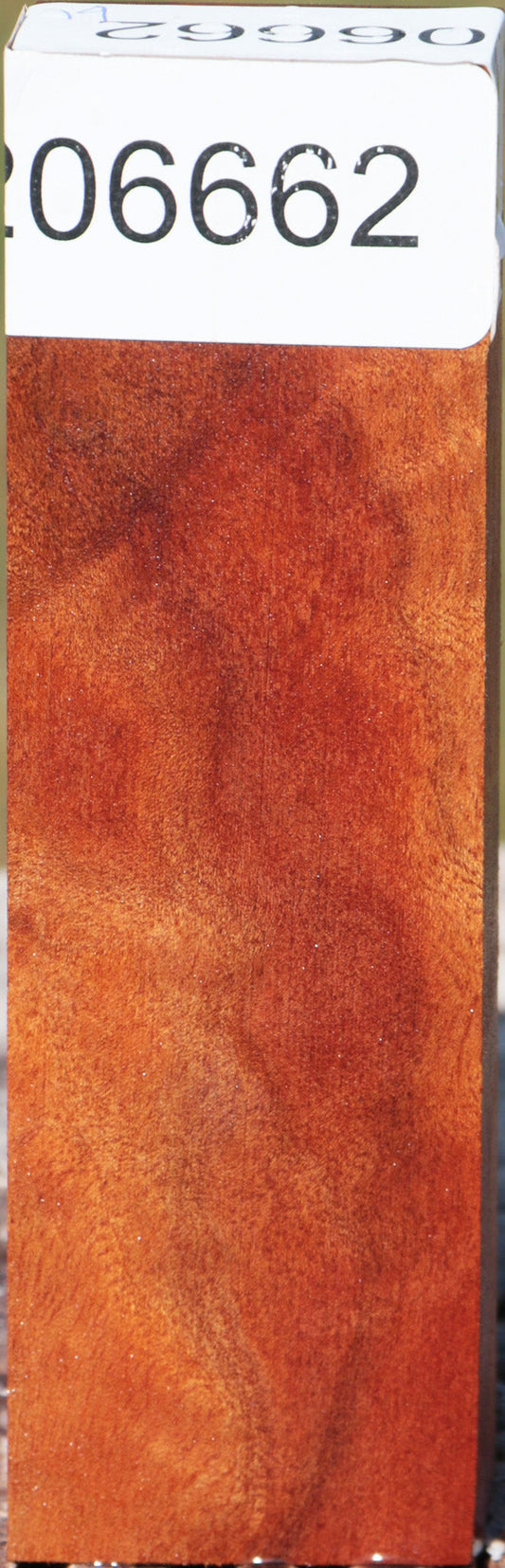 Camphor Burl Turning Blank