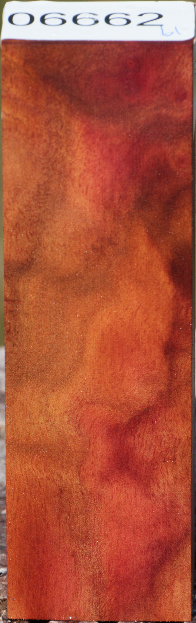 Camphor Burl Turning Blank