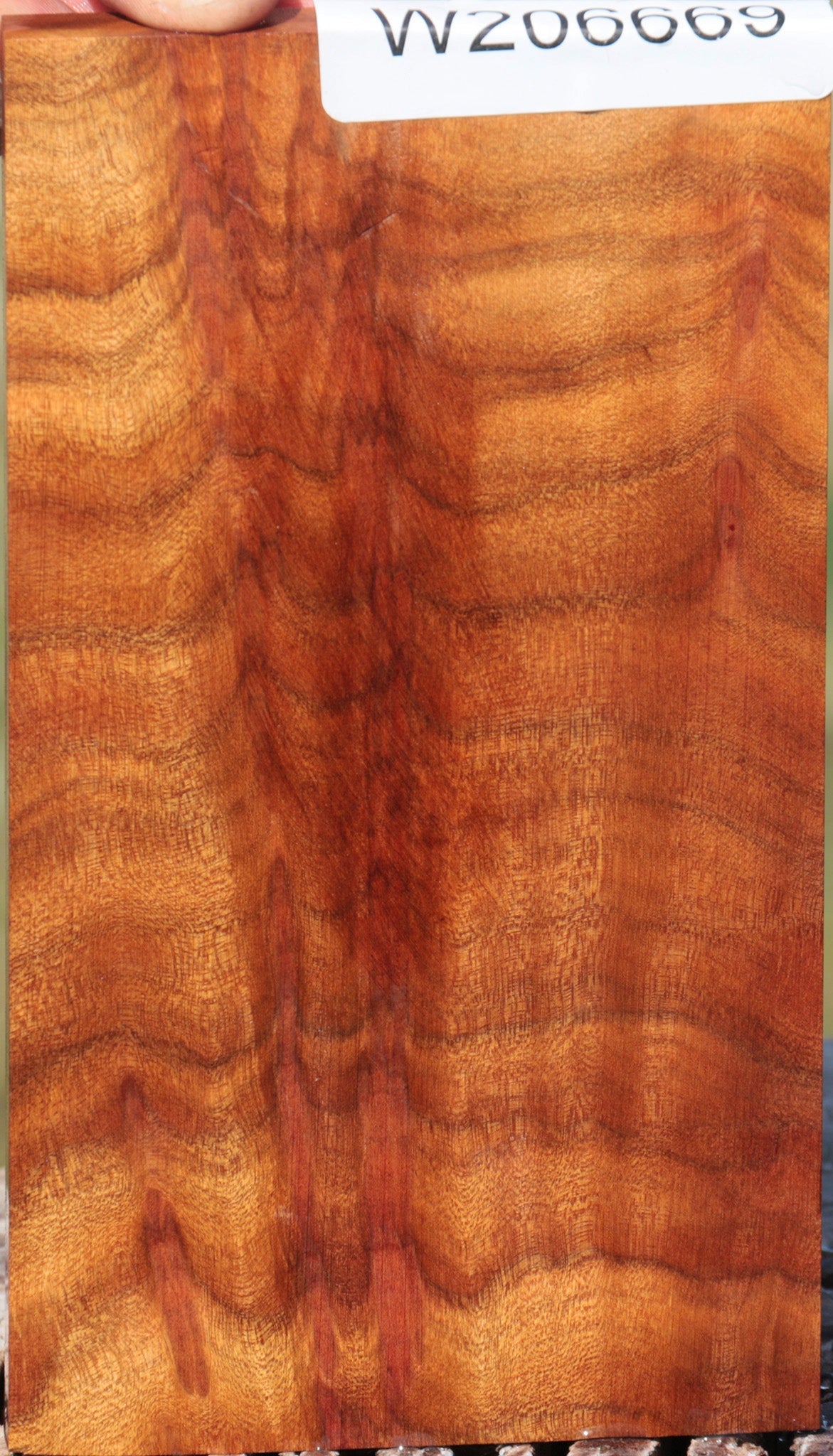 Quartersawn Camphor Burl Micro Lumber