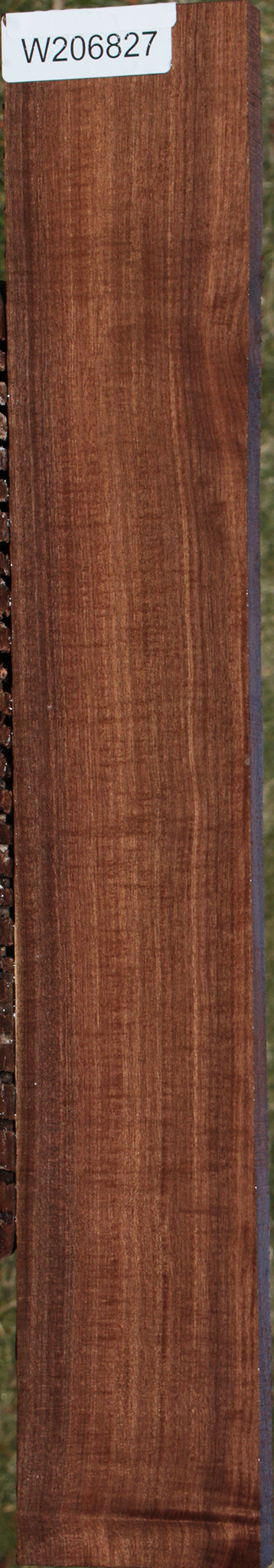 Extra Fancy Mansonia Lumber