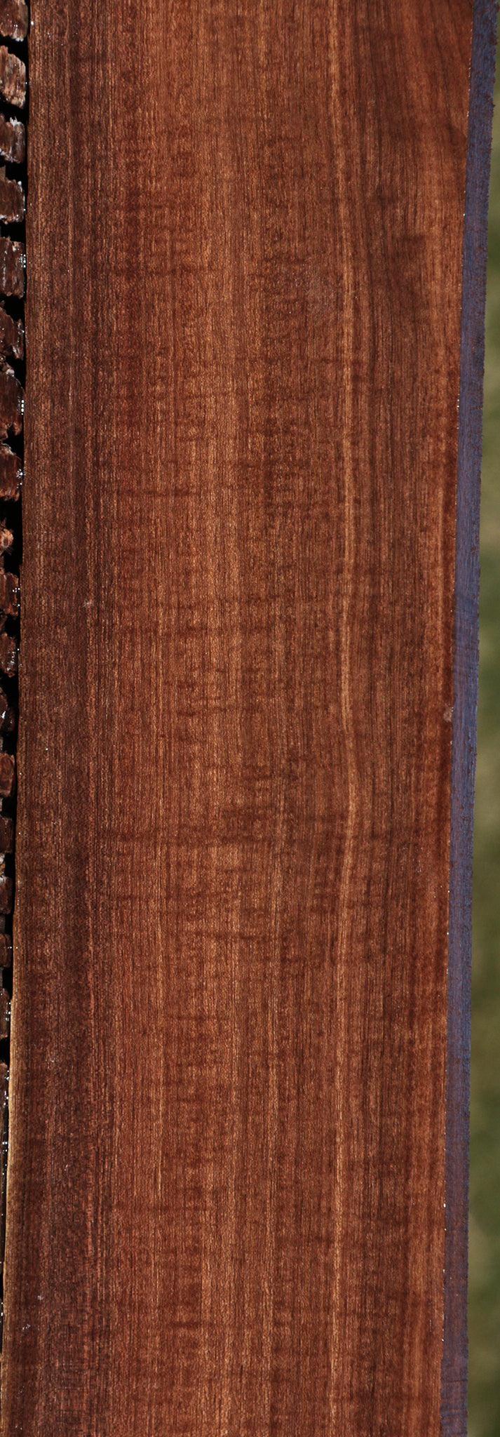 Extra Fancy Mansonia Lumber