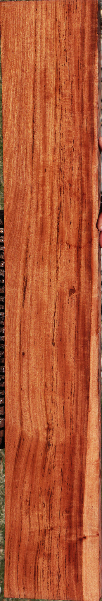 Zambezi Teak Lumber