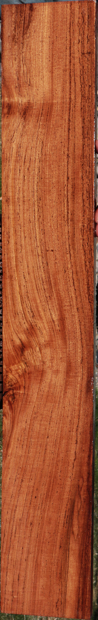 Zambezi Teak Lumber