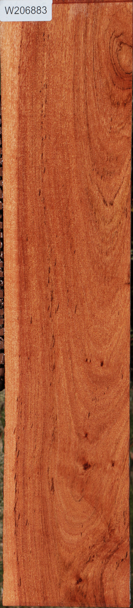 Zambezi Teak Lumber