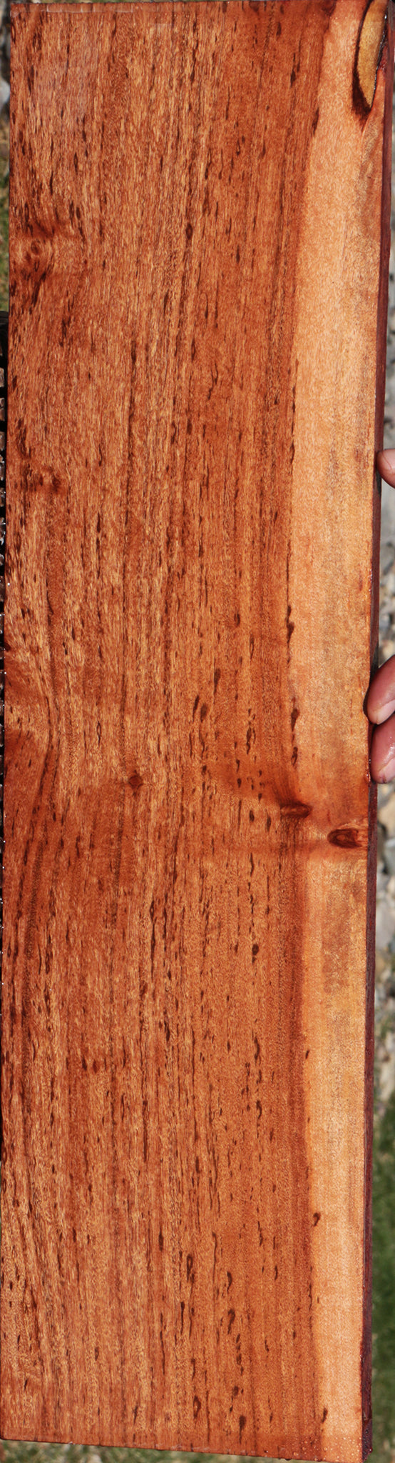 Extra Fancy Zambezi Teak Lumber