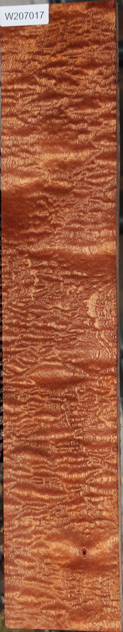 Exhibition Sapele Instrument Lumber