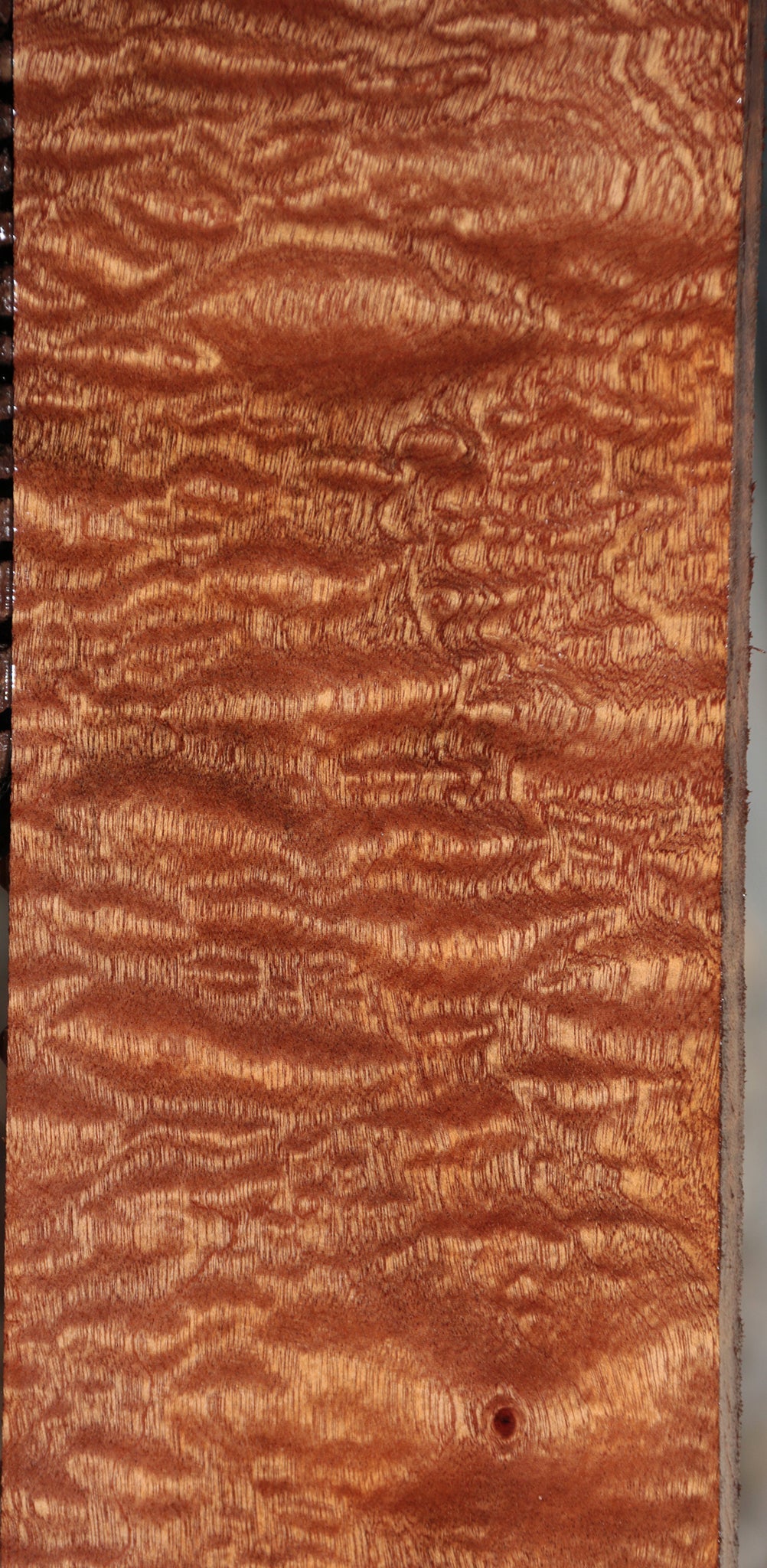 Exhibition Sapele Instrument Lumber