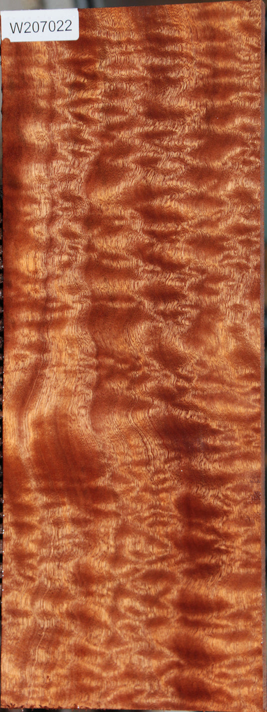 Exhibition Sapele Instrument Lumber