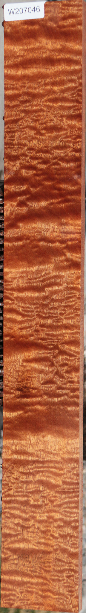 Exhibition Sapele Instrument Lumber