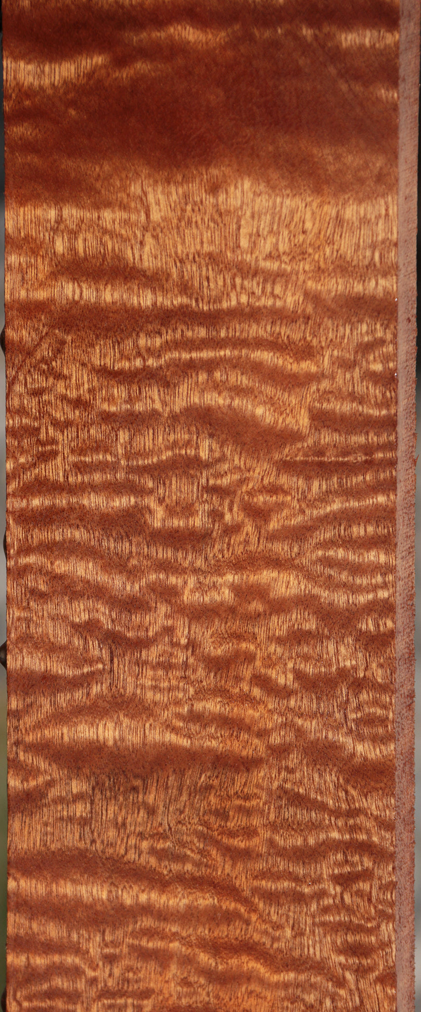 Exhibition Sapele Instrument Lumber