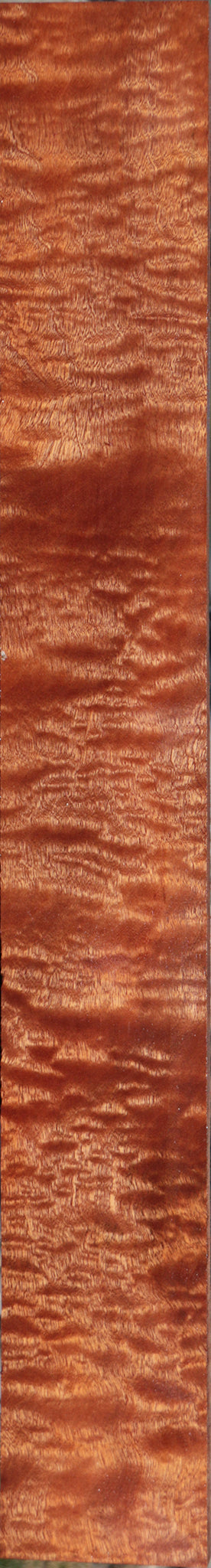 Exhibition Sapele Instrument Lumber