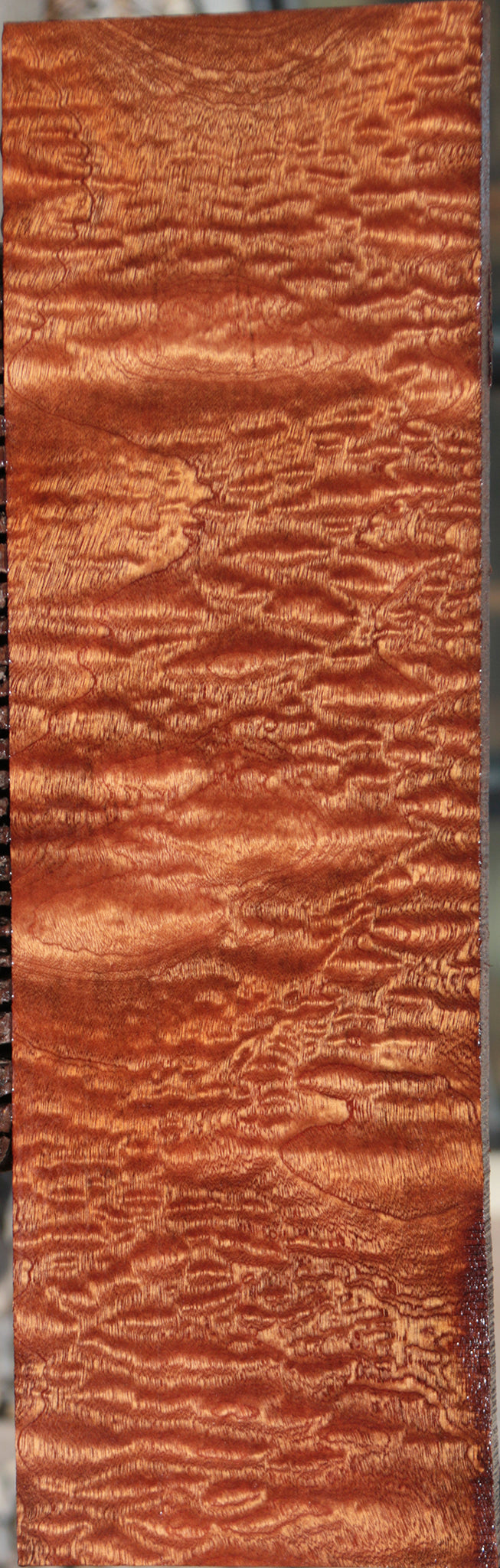 Exhibition Sapele Instrument Lumber