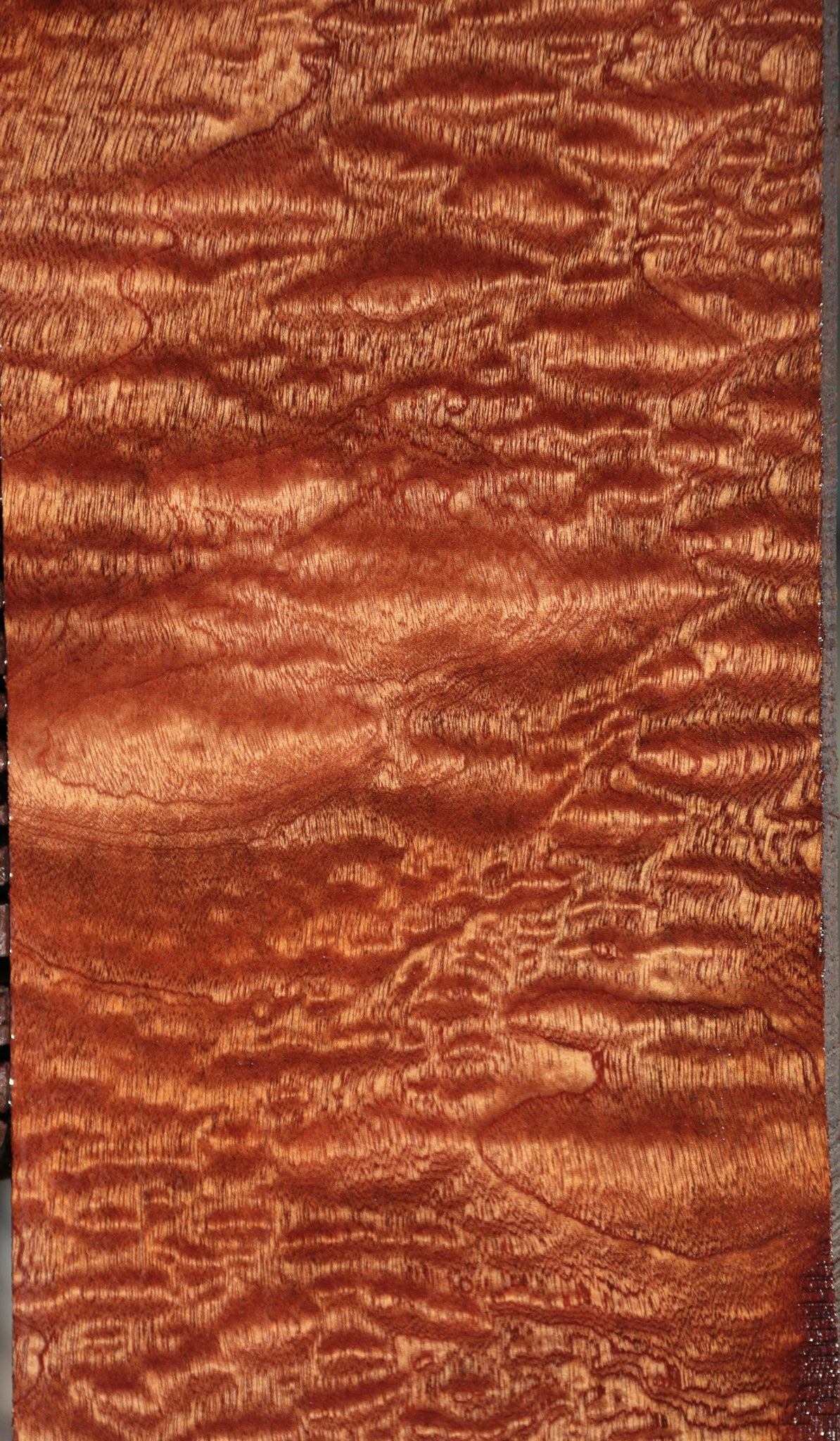 Exhibition Sapele Instrument Lumber