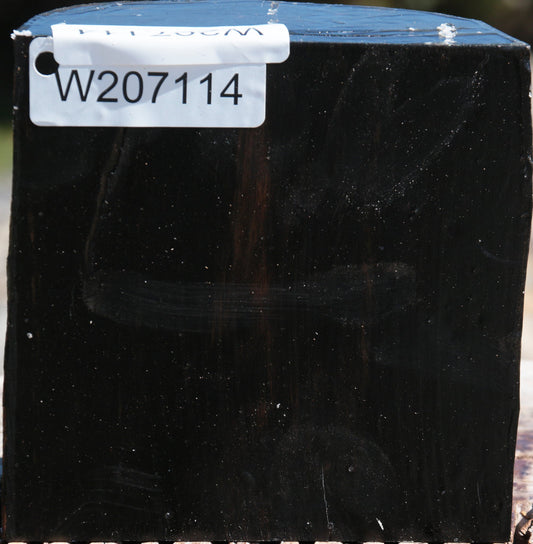 Gabon Ebony Half Log