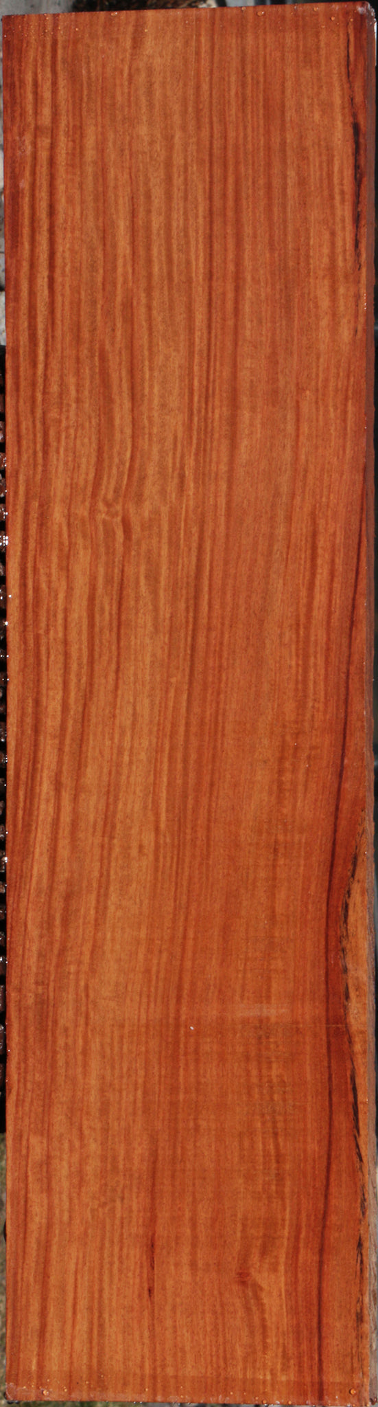 Extra Fancy Pau Rosa Lumber