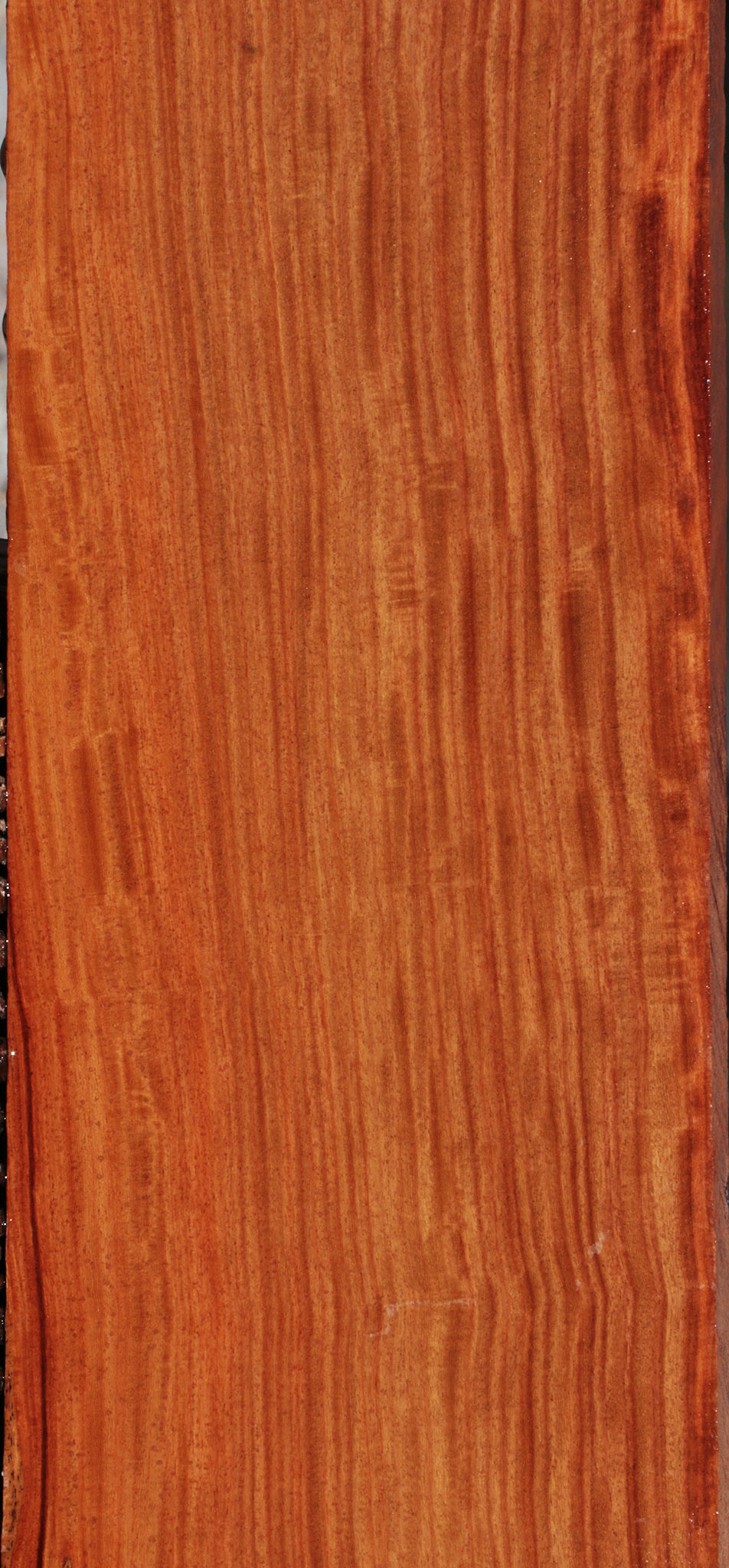 Extra Fancy Pau Rosa Lumber