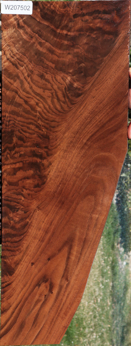 Exhibition Crotchwood Claro Walnut Instrument Lumber