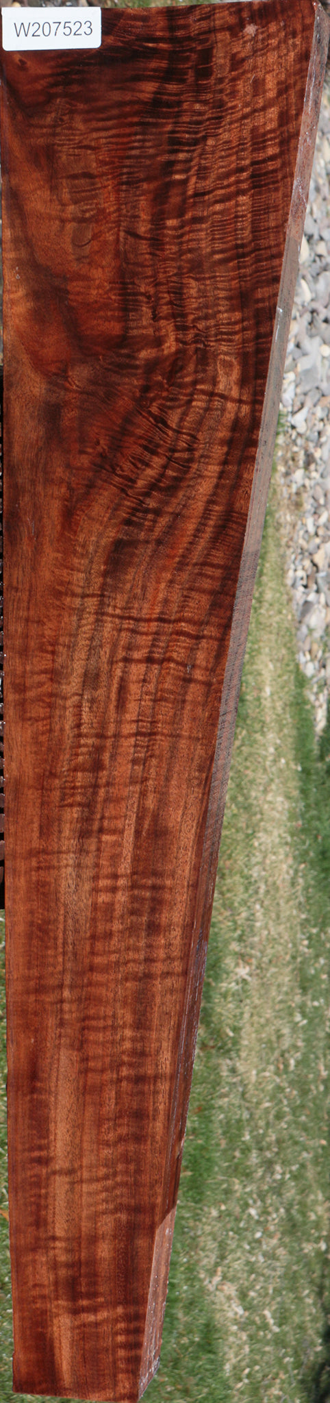 Exhibition Claro Walnut Rifle Blank