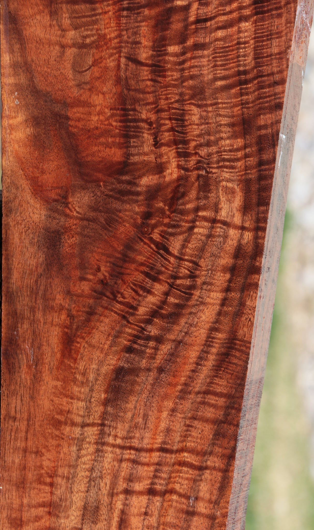 Exhibition Claro Walnut Rifle Blank