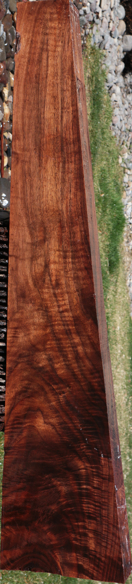 Exhibition Claro Walnut Rifle Blank