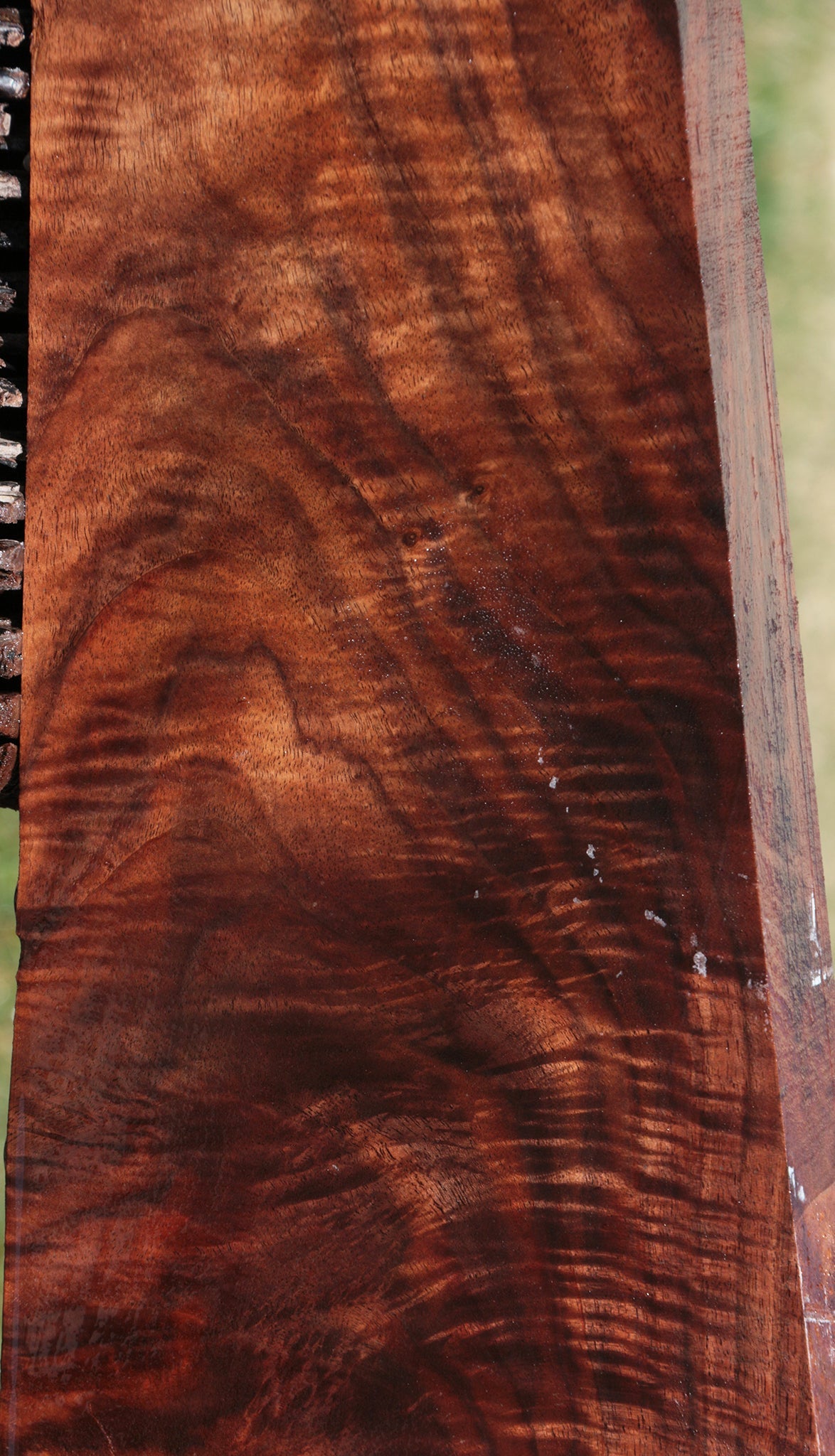 Exhibition Claro Walnut Rifle Blank