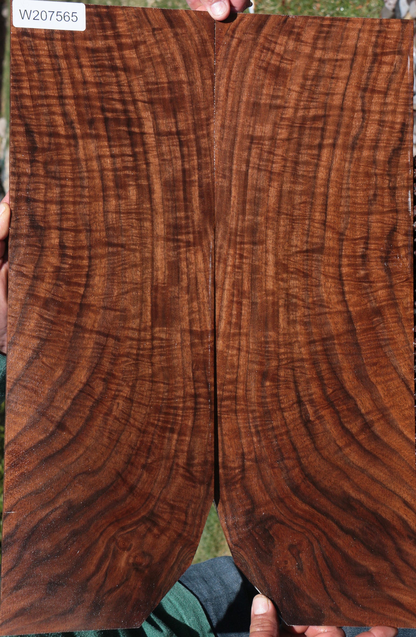 Claro Walnut Micro Lumber (2-Piece Set)