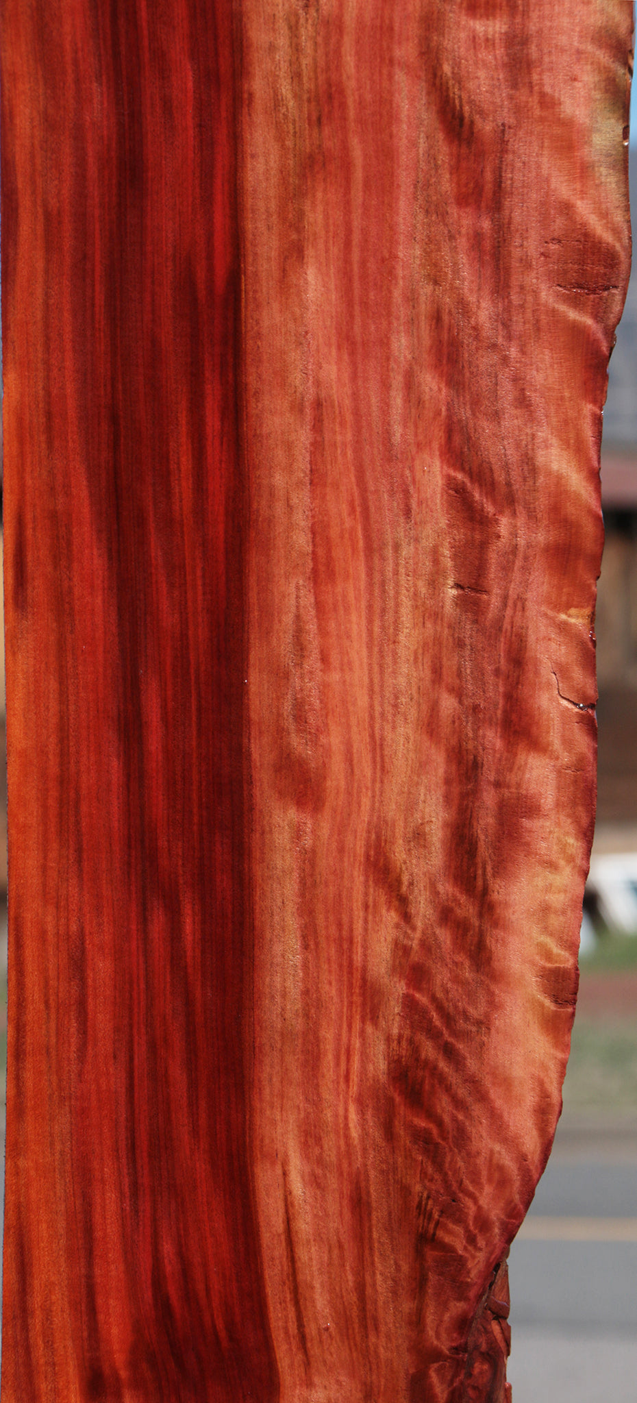 Extra Fancy Redheart Live Edge Lumber