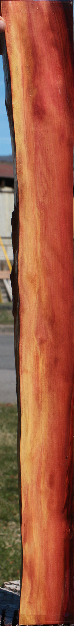 Redheart Live Edge Lumber
