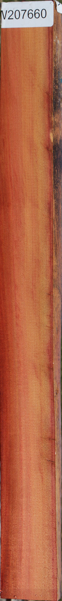 Redheart Live Edge Lumber
