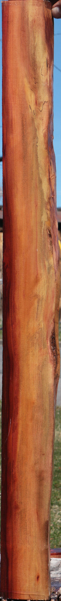 Redheart Live Edge Lumber