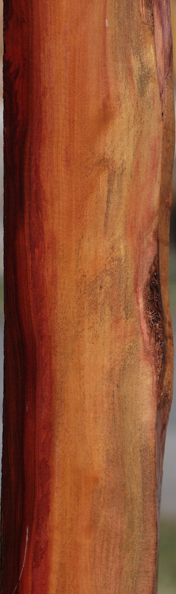 Redheart Live Edge Lumber
