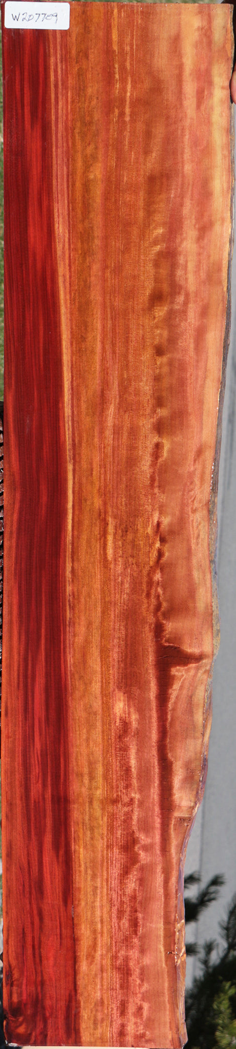 Extra Fancy Redheart Live Edge Lumber