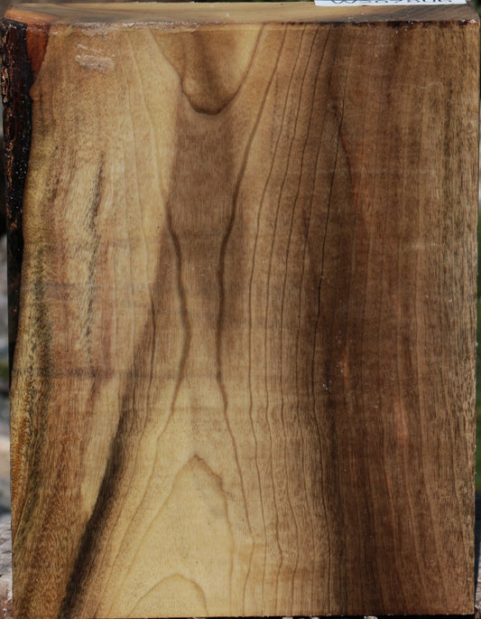 Figured Myrtle Turning Blank